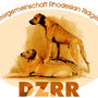 Logo DZRR